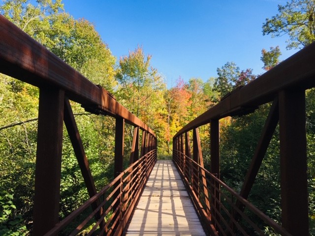 Morgan Falls Bridge